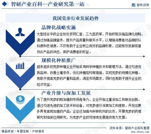 黨參行業(yè)分析報(bào)告 市場規(guī)模、供需態(tài)勢、競爭格局及投融資動態(tài)解析